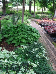 Nursery
Path
