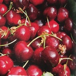 Cherry Shrub