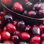 Cranberry
