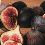 Fig