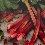 Rhubarb Canada Red