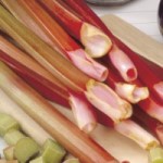 Rhubarb Victoria