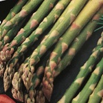 Asparagus M. Washington