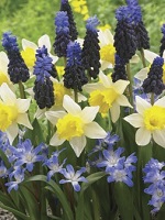 Mix Spring Cheer