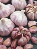 Garlic Duganski